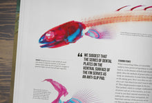 Load image into Gallery viewer, The Bichir Handbook (Pre-Order)