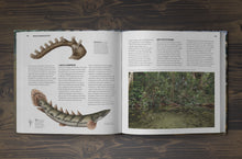 Load image into Gallery viewer, The Bichir Handbook (Pre-Order)