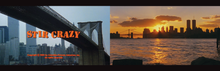 Load image into Gallery viewer, TWIN TOWERS: The World Trade Center in Cinema, 1971-2002