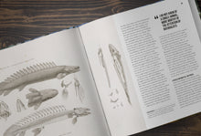 Load image into Gallery viewer, The Bichir Handbook (Pre-Order)

