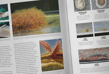 Load image into Gallery viewer, The Bichir Handbook (Pre-Order)
