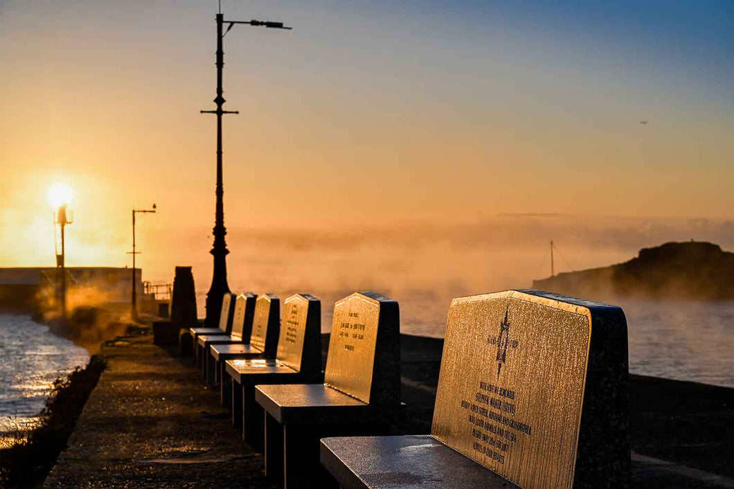 Remembrance benches on the pier - Greydog Images