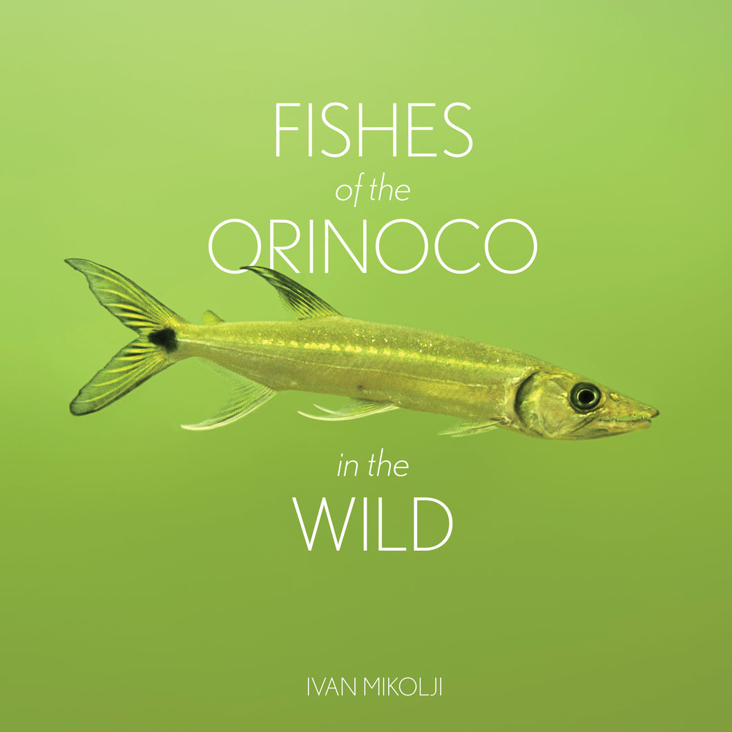 Fishes of the Orinoco
